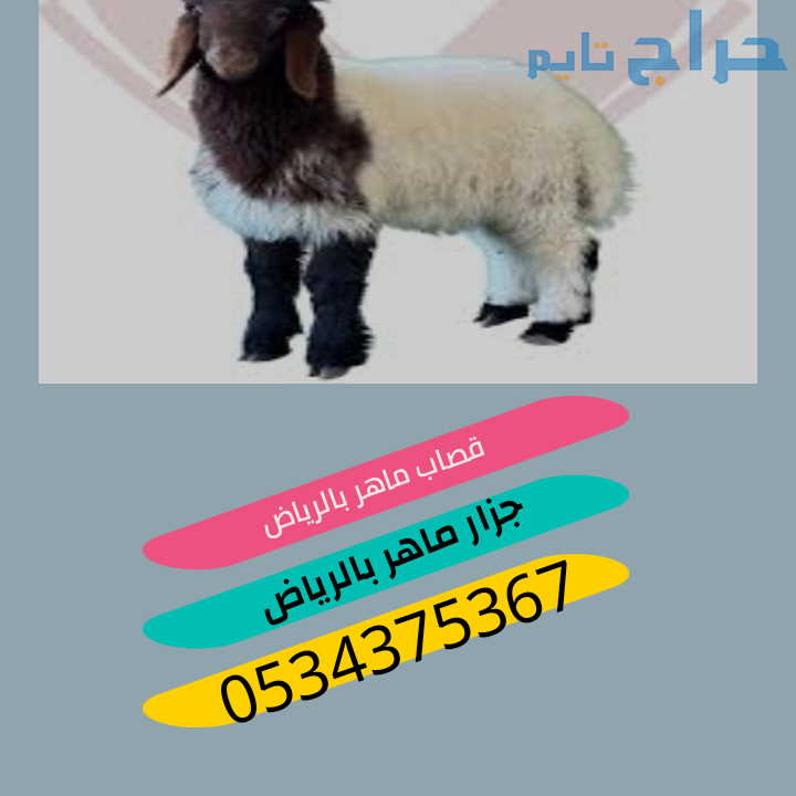 قصاب ماهر بالرياض 0534375367 جزار