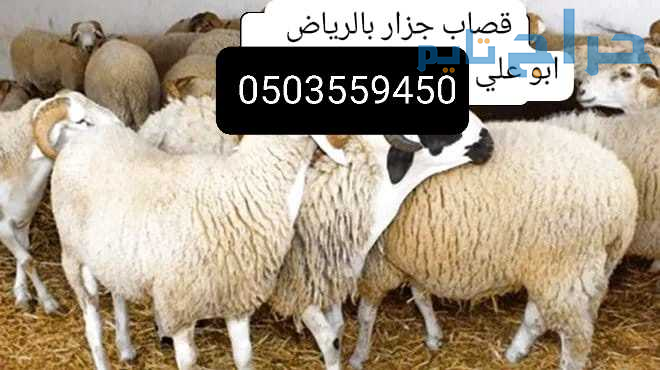 قصاب ماهر بالرياض اضاحي 0503559450