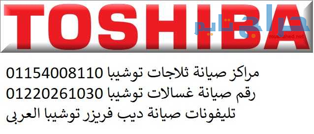 رقم صيانة ثلاجات دوبلكس توشيبا سان ستيفانو 0109599...