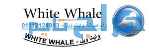 خدمة عملاء ديب فريزر وايت ويل المريوطيه 0109305583...