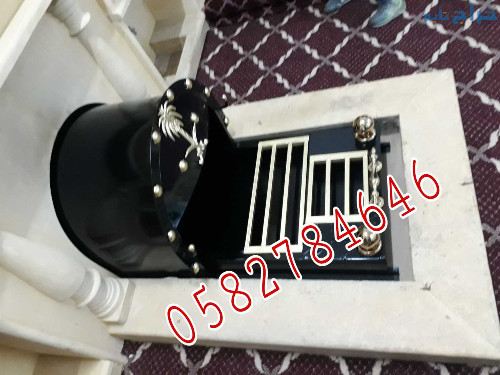 مشبات
