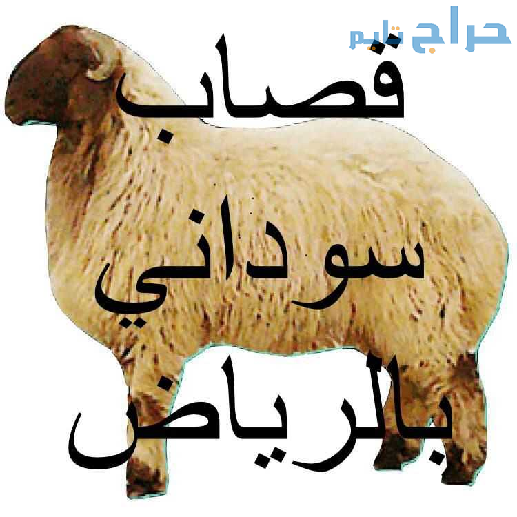 قصاب ماهر حي الربوة 0510735689