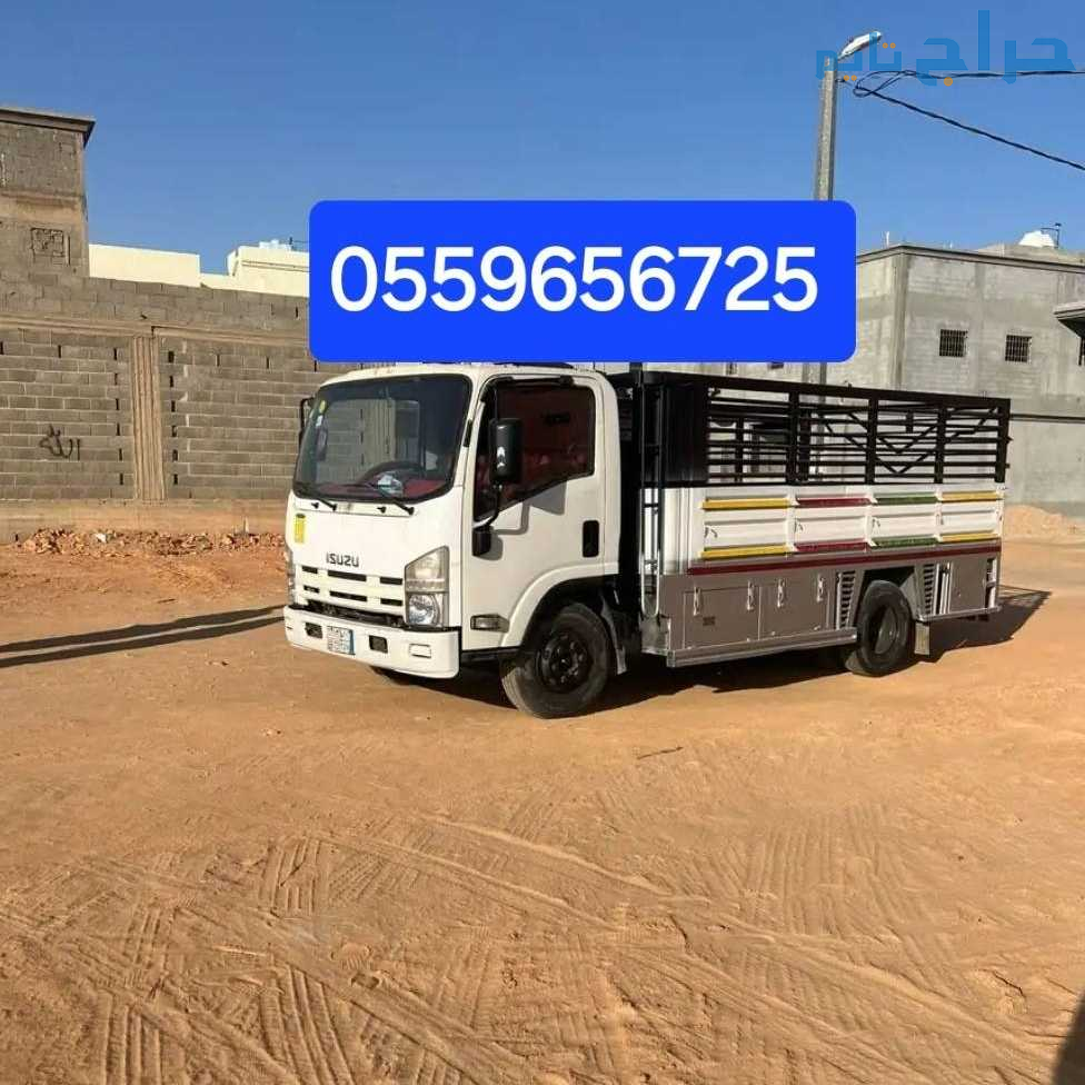 دينا طش الاثاث القديم بالرياض 0559656725